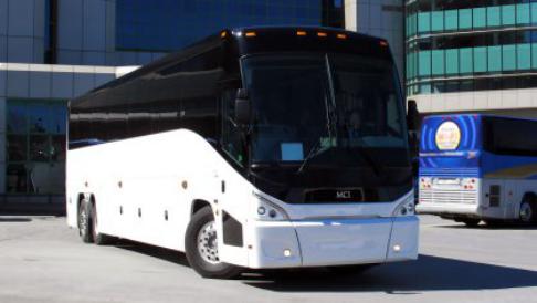  56 passenger charter bus 